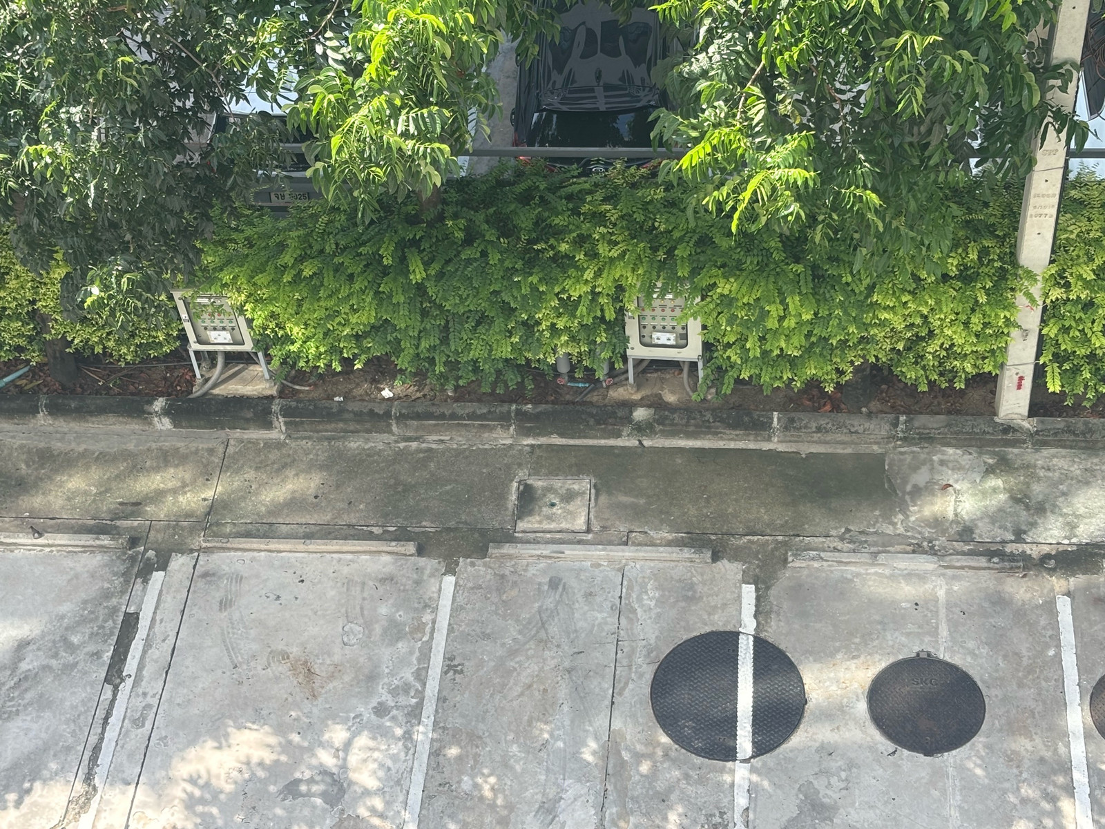❤️For rent Elio Sukhumvit 64, size 26.53 sq m fl 5, studio, north balcony, price only 10,000 baht (has a new mattress, complete TV). Interested, line @900cqqhk tel 0859114585. Located in Soi Sukhumvit 64, Bangna Subdistrict, Bangna District, Bangkok, near – รูปที่ 3