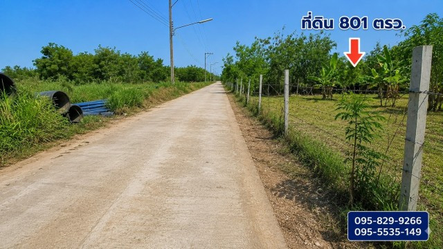ขายที่ดินถมแล้ว 2-0-01ไร่ โครงการ Wellness City (เวลเนสซิตี้) เพื่อการพักวัยเกษียณ ใกล้ถนนปทุมธานี-สามโคก-เสนา (ทล.3111)อ.บางไทร จ.อยุธยา – รูปที่ 3