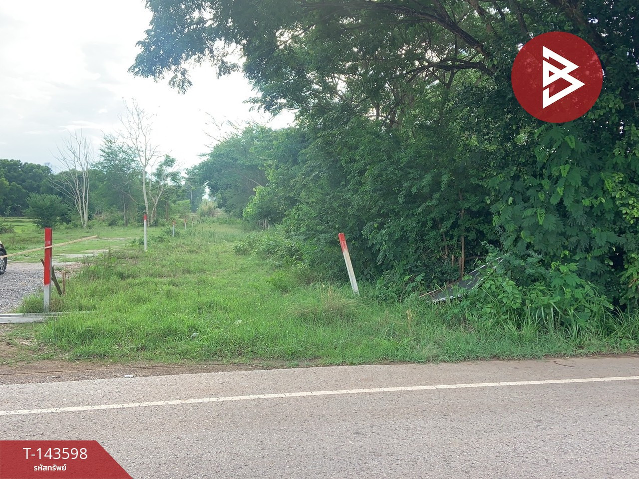 ขายที่ดิน เนื้อที่ 1 ไร่ นาดี อุดรธานี ขายที่ดิน เนื้อที่ 1 ไร่ นาดี อุดรธานี