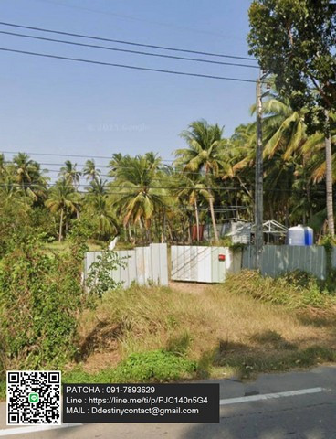 ขายที่ดินสวนมะพร้าว พร้อมบ้านพัก + คอนเทนเนอร์ 40 ฟุต ฟรี! ใกล้ชายหาด บางสะพาน จ.ประจวบคีรีขันธ์ – รูปที่ 3