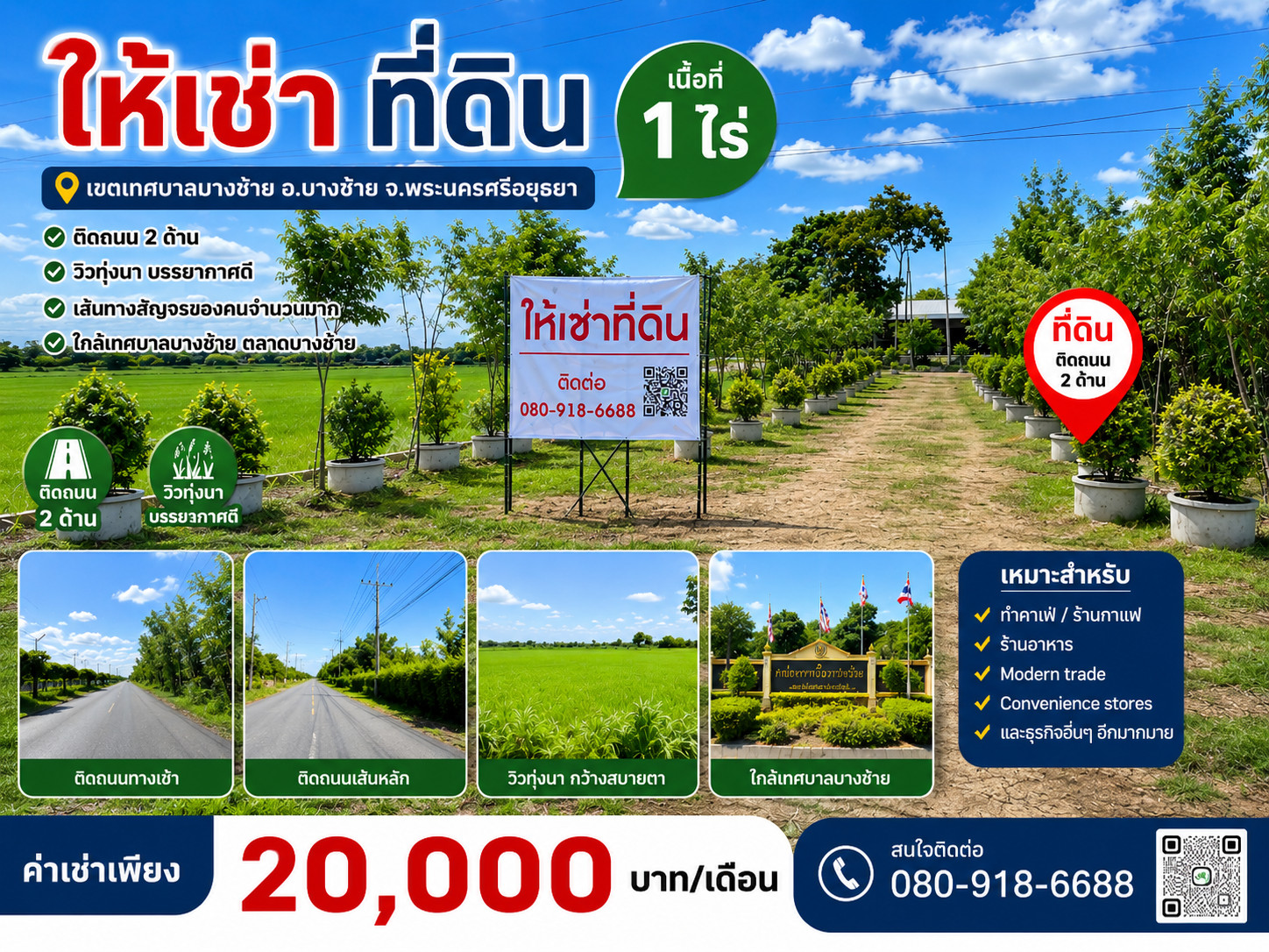 Land for rent, rice field view