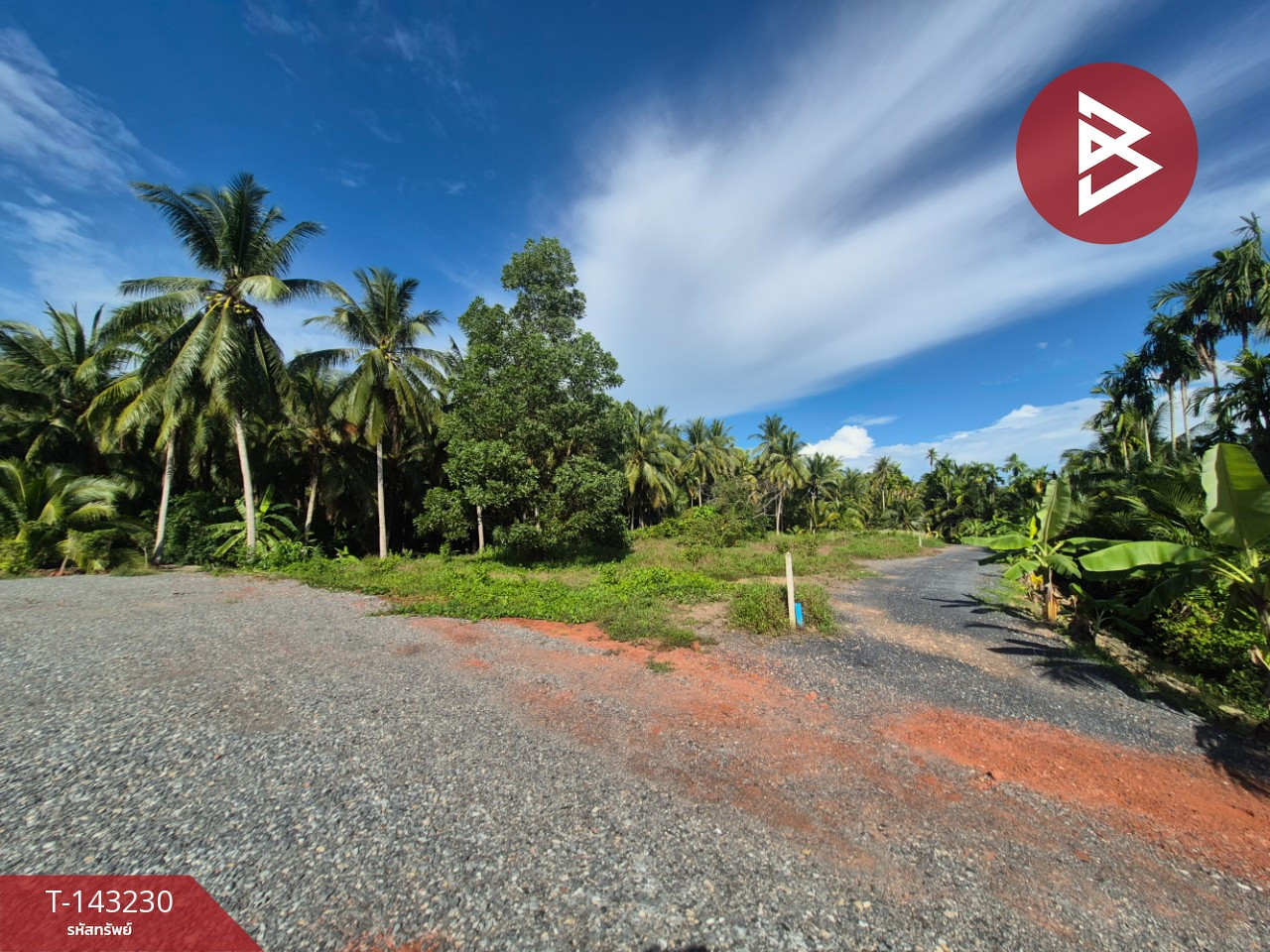 Land for sale, area 1 rai 1 ngan, Bang Bai Mai, Surat Thani. – รูปที่ 3