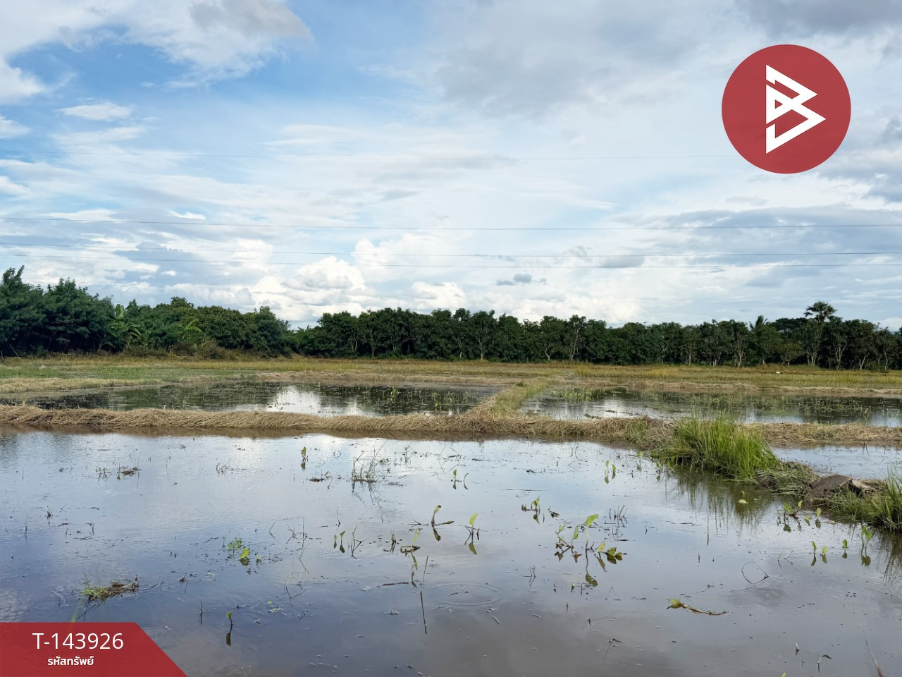 Land for sale, area 6 rai 70 sq m, Ban Paen, Lamphun. – รูปที่ 3