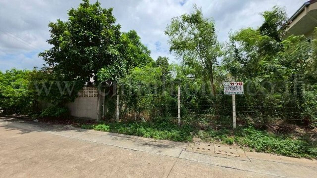 ที่ดิน 80 ตรว. ถมแล้ว หมู่บ้านเศรษฐกิจซอย44 ทำเลดี – รูปที่ 3