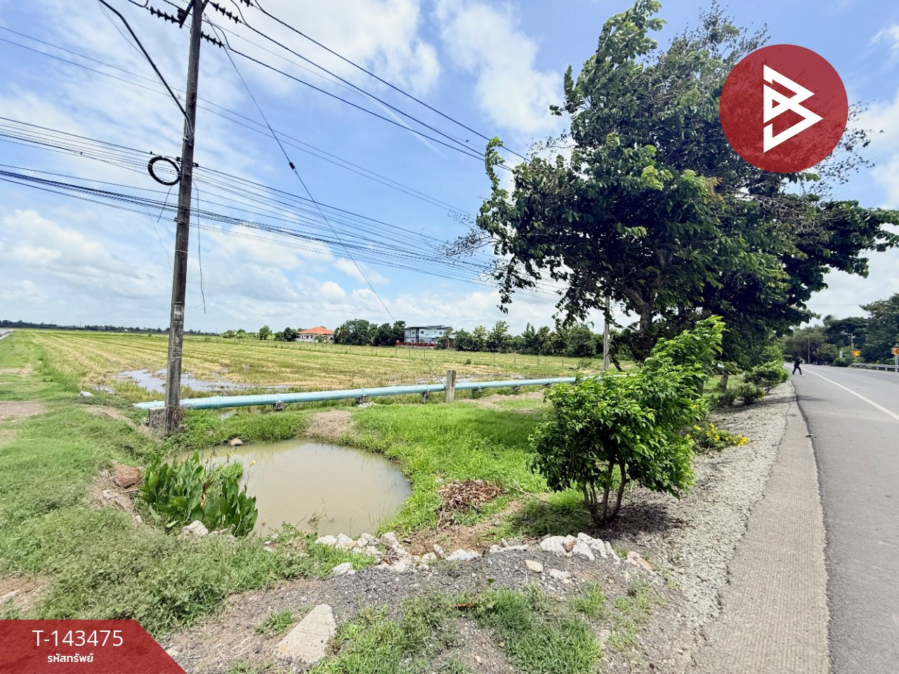 ขายที่ดิน เนื้อที่ 24 ไร่ 5 ตร.วา หนองจอก กรุงเทพมหานคร – รูปที่ 4