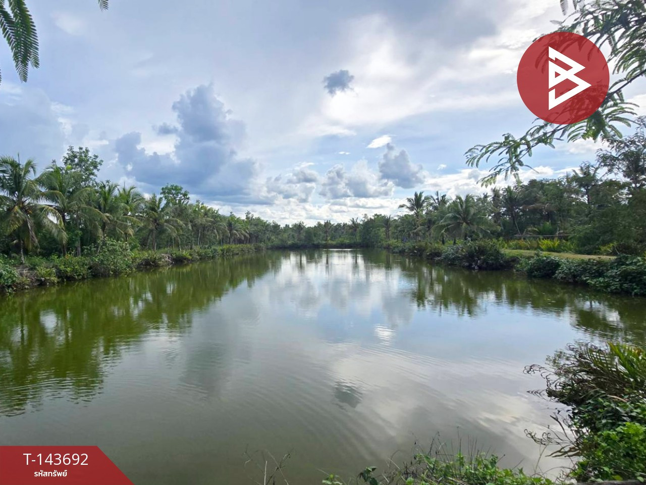 Land for sale, area 14 rai 77 sq m, Tha Yang, Chumphon.