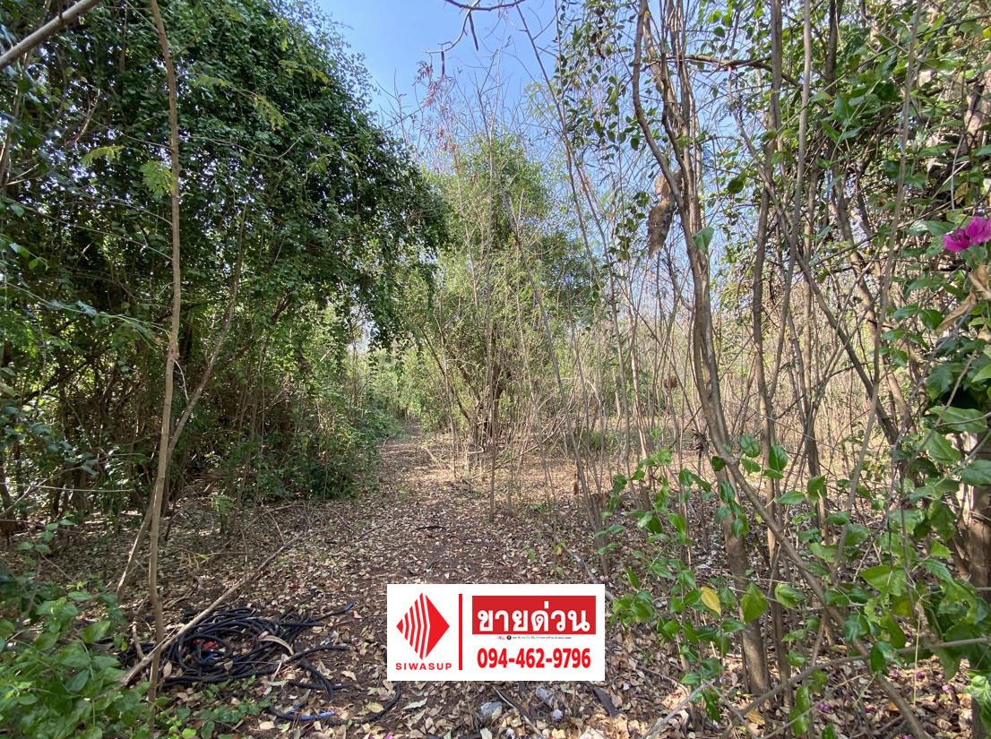 Land 1-1- 53 rai, river view, Bang Pakong Riverside project, near golf course-sports club. Own it at a special price! – รูปที่ 3