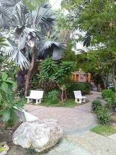 Very cheap, townhome, home office, Kasa Eureka Bangkae, Bangkok, Kasa Eureka Bangkae – รูปที่ 3
