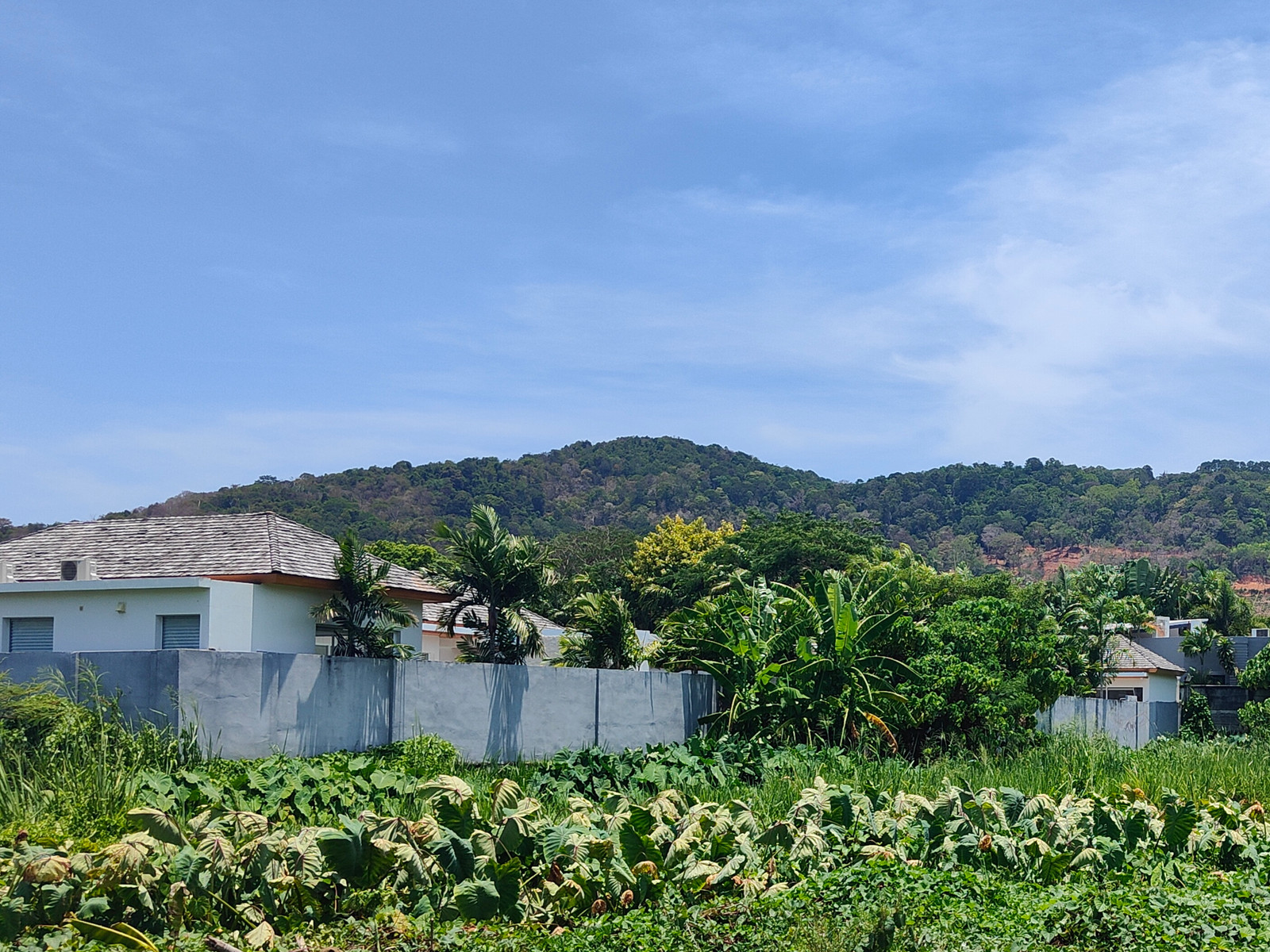 Land for sale in Rawai, Nai Harn Beach. Naya Road. Size: 1 rai. 47 million baht. Ideal for a pool villa project, a luxury vacation home. Excellent environment. – รูปที่ 3