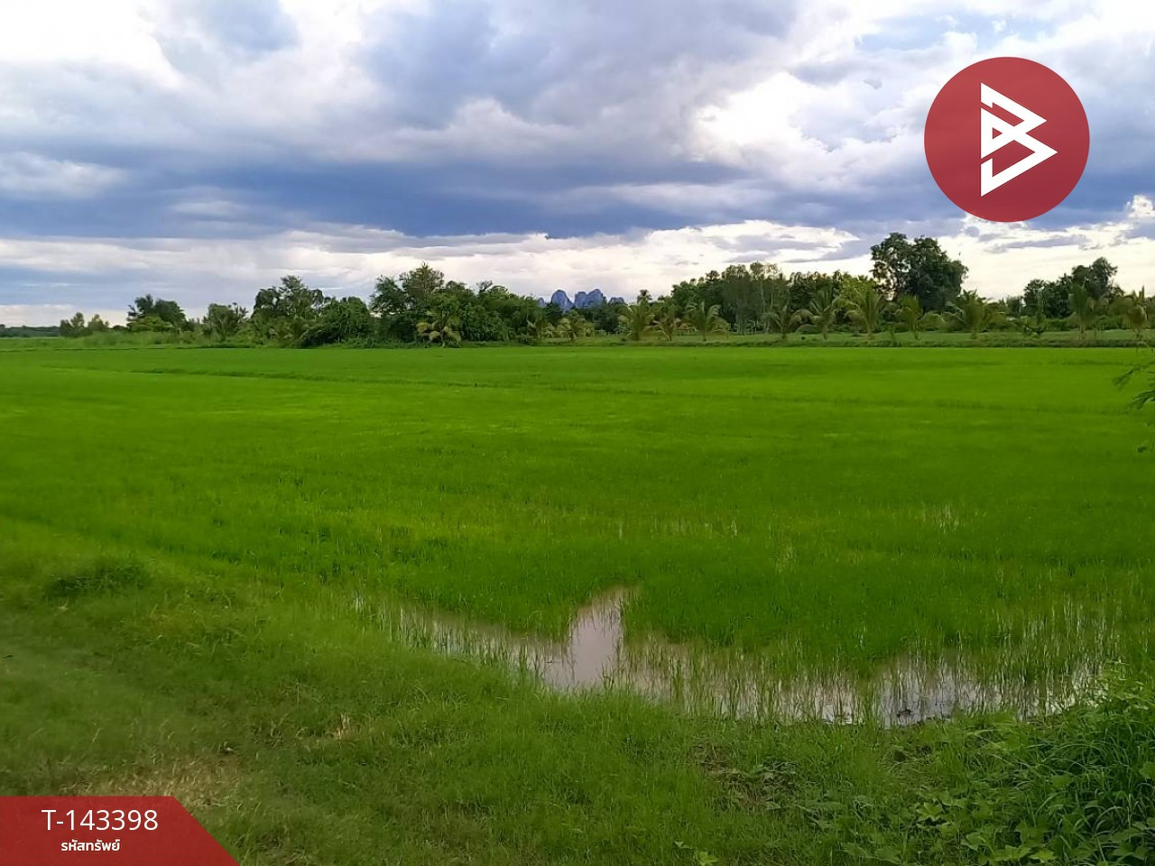 ขายที่ดิน เนื้อที่ 11 ไร่ 1 งาน 65 ตร.วา บรรพตพิสัย นครสวรรค์ – รูปที่ 2
