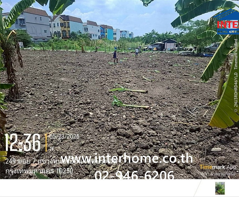 ที่ดินเปล่า 100 ตร.ว. หมู่บ้านมิตรภาพ อ่อนนุช46 ซอยศรีนครินทร์36 ซอยอ่อนนุช46 ถนนอ่อนนุช ถนนศรีนครินทร์ เขตพระโขนง กรุงเทพมหานคร – รูปที่ 3