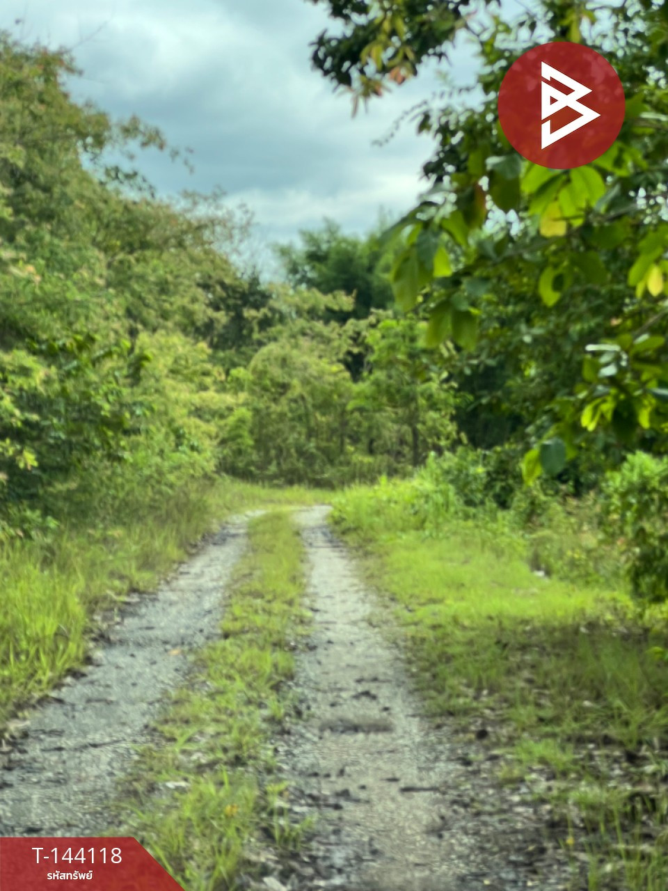 ขายที่ดิน เนื้อที่ 3 งาน 99.6 ตร.วา แม่ริม เชียงใหม่ – รูปที่ 2