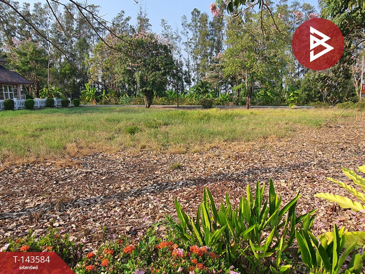 Land for sale, area 3 ngan, 76.2 sq m, long plot, Chachoengsao. – รูปที่ 4