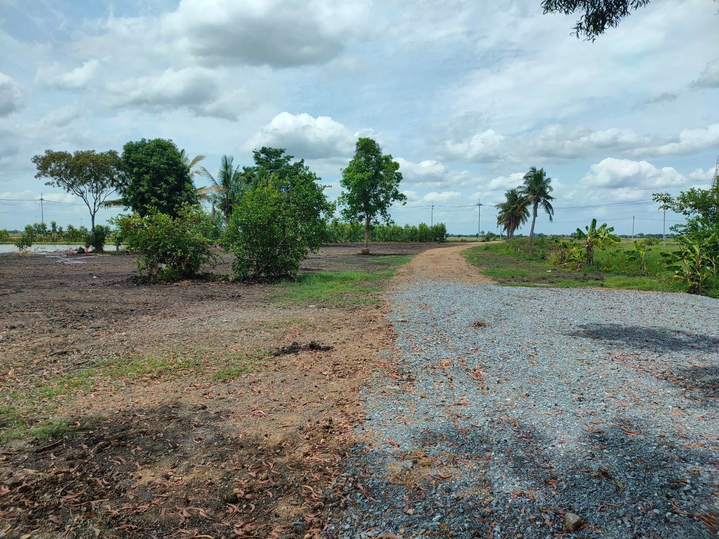 Land for sale, over 5 rai, beautiful canal view, cool breeze all day. Large plot of land ready for development  The waterfront life that many people are searching for Its right here. 5 Chinese characters will show you the best of the best. – รูปที่ 4