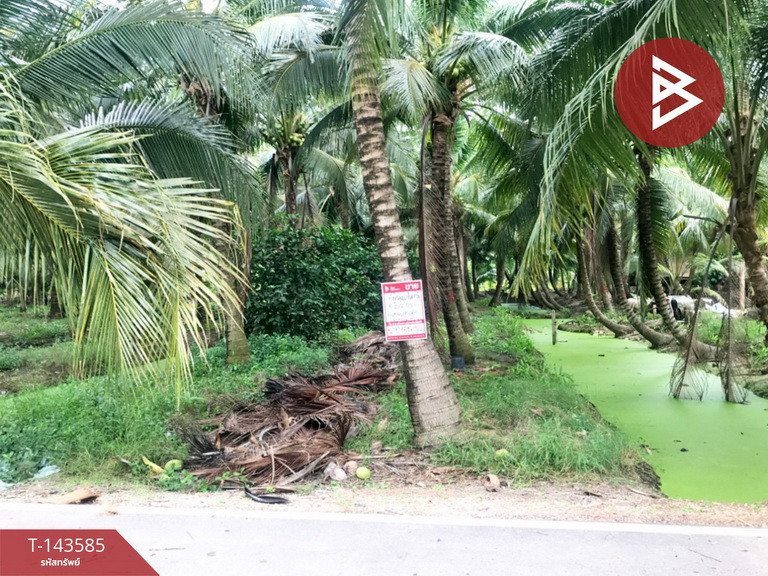 Land for sale, area 5 rai 66 sq m, Bang Khonthi, Samut Songkhram. Land for sale, area 5 rai 66 sq m, Bang Khonthi, Samut Songkhram.