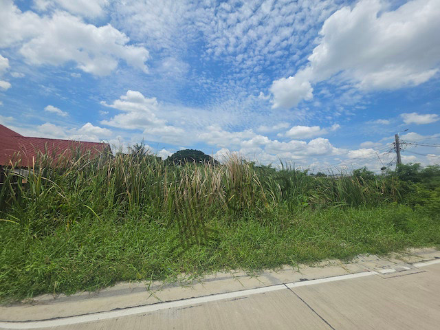 ให้เช่า ที่ดินเปล่า ขนาด 276 ตร.วา ติดถนนคอนกรีต เหมาะกับสร้างที่พักอาศัยหรือโกดัง ใกล้ถนนใหญ่และห้างสรรพสินค้า | 93382 – รูปที่ 3