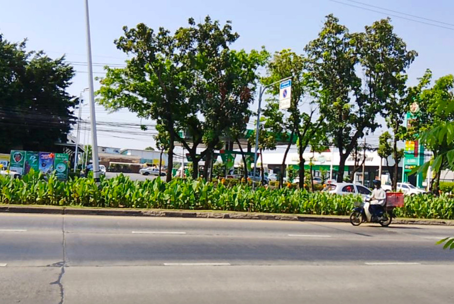 Showroom building for rent, land 2-1-61 rai, Nong Khaem, Bangkok. – รูปที่ 3