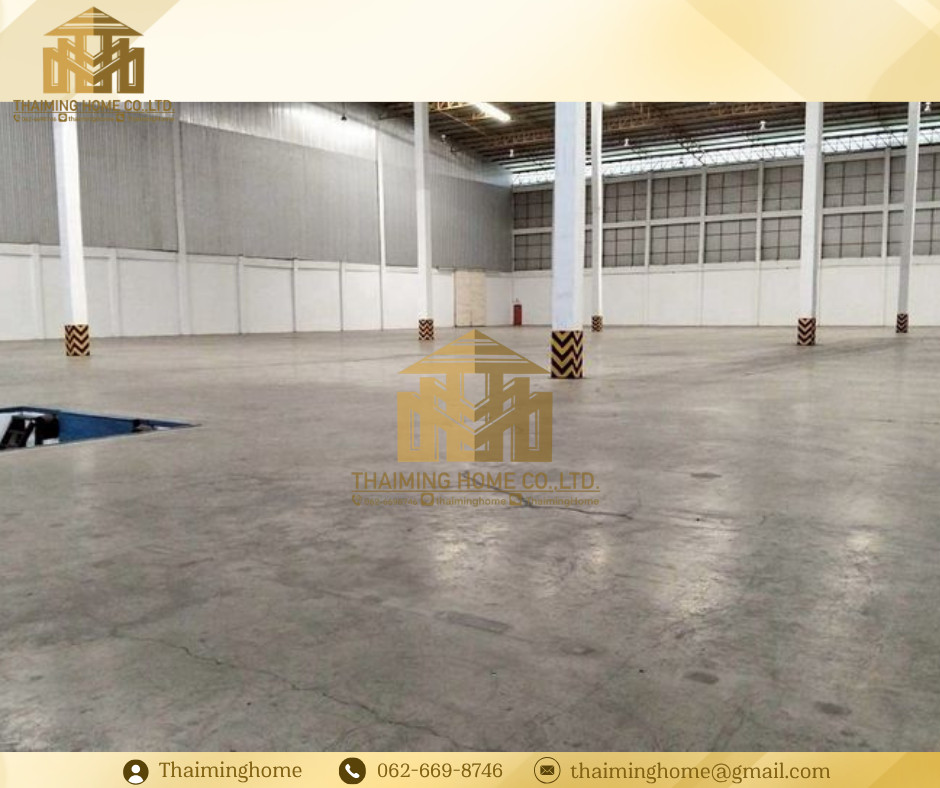 Warehouse/factory for rent, warehouse 5,000 sq m, Ayutthaya, Wang Noi, Bang Pa-in (TW8-22126) – รูปที่ 3