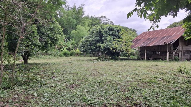 Land for sale, over 1 rai, San Sai Subdistrict, Mueang Chiang Rai, already filled, free transfer, suitable for building a house and a resort. – รูปที่ 4