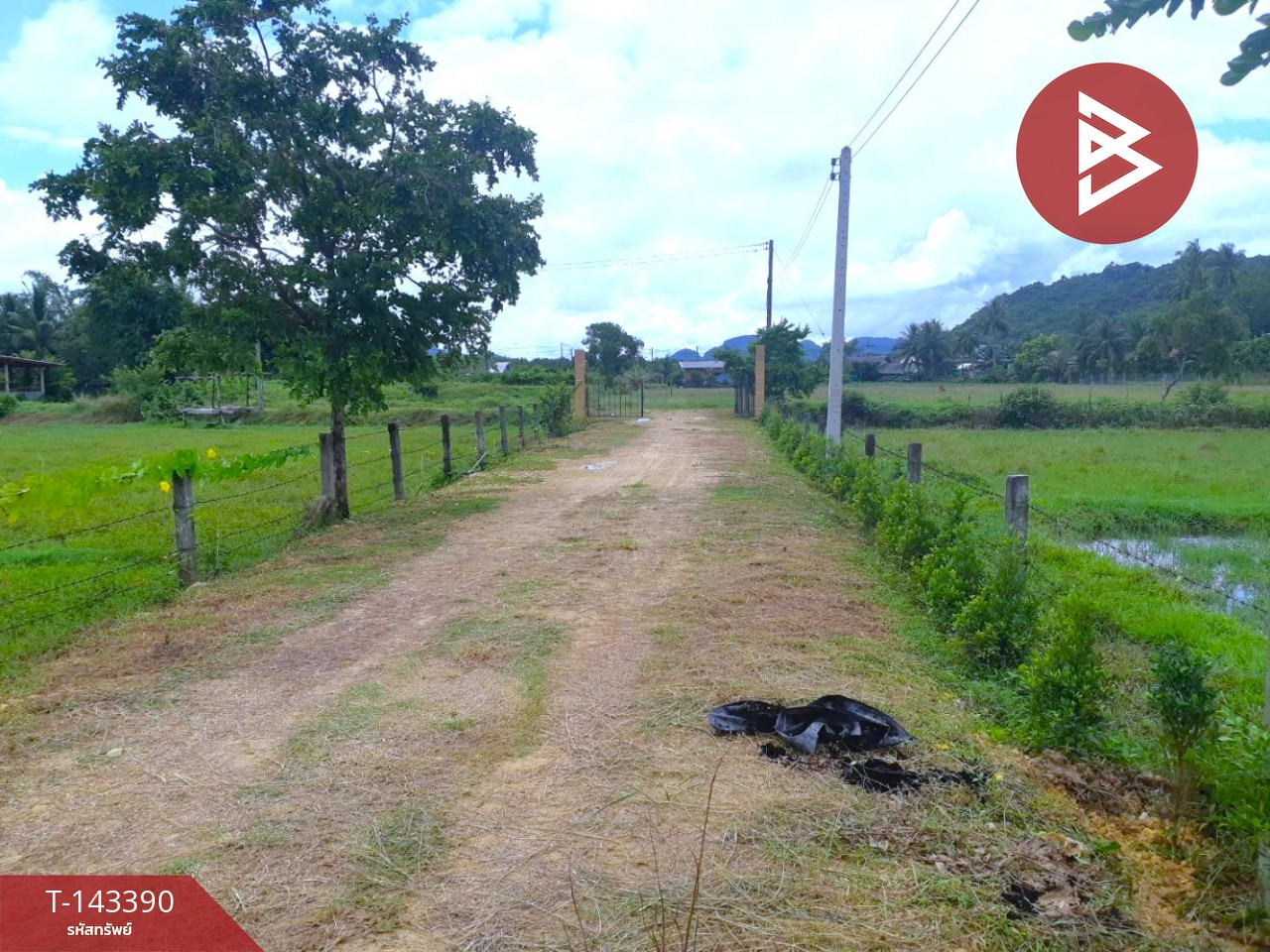 Land for sale, area 4 rai 72 sq m, Koh Lanta, Krabi. – รูปที่ 4