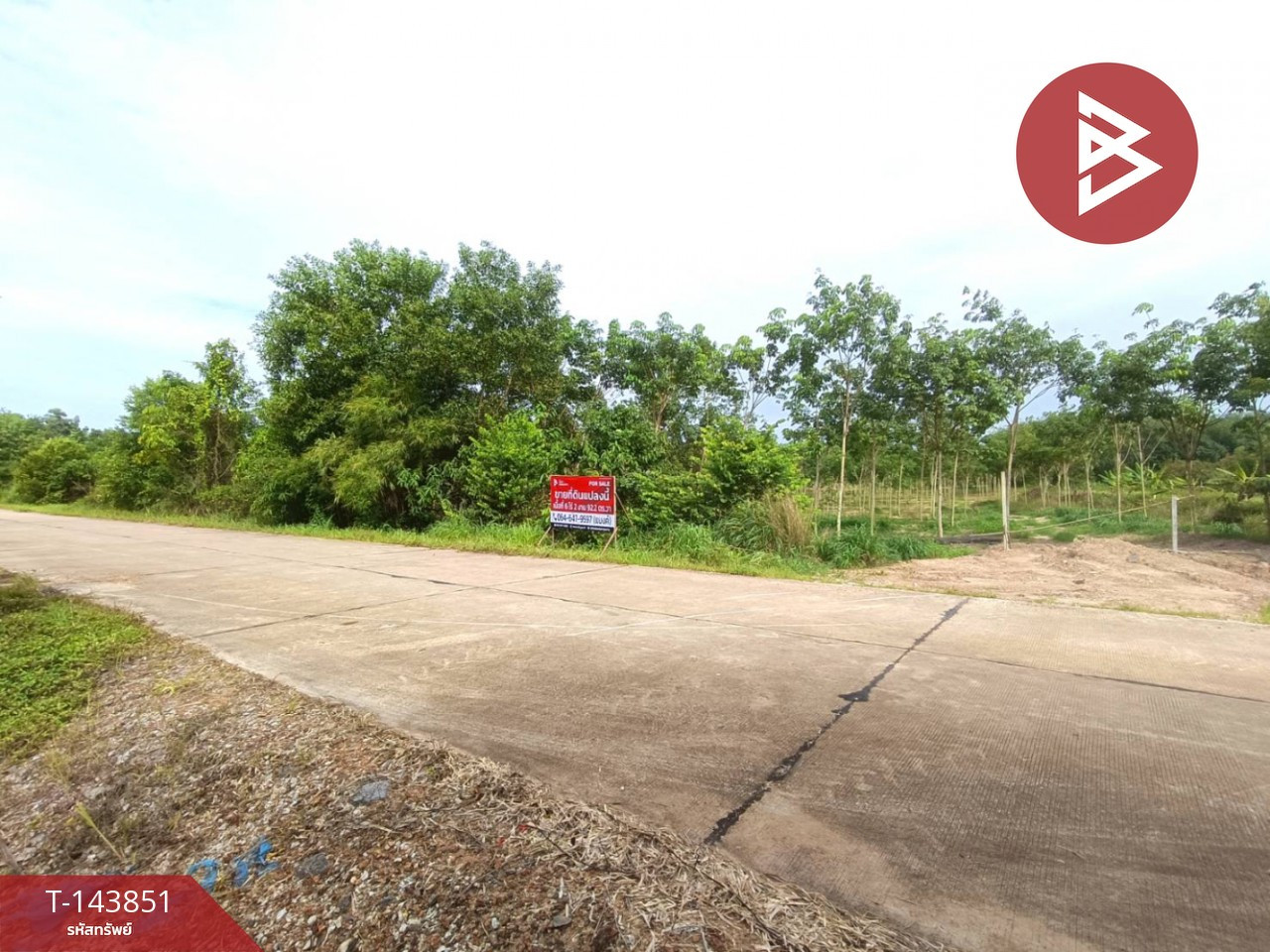 ขายที่ดิน เนื้อที่ 6 ไร่ 2 งาน 92.2 ตร.วา วังจันทร์ ระยอง – รูปที่ 3