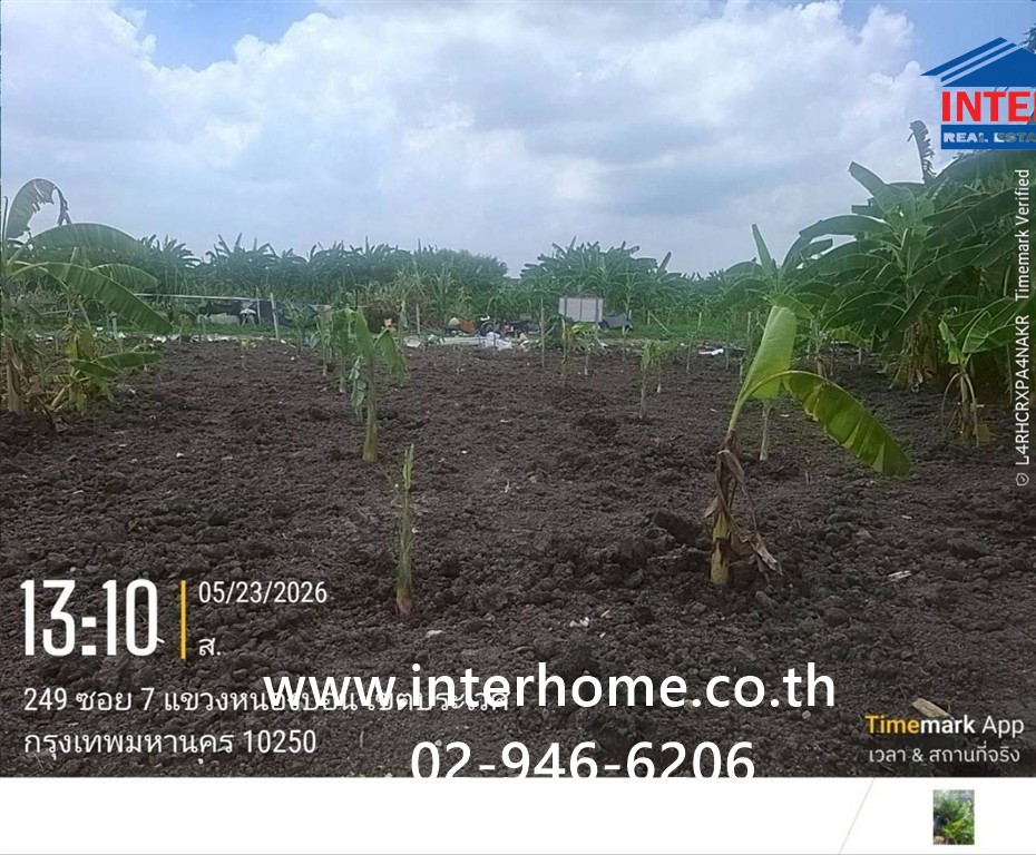 ที่ดินเปล่า 100 ตร.ว. หมู่บ้านมิตรภาพ อ่อนนุช46 ซอยศรีนครินทร์36 ซอยอ่อนนุช46 ถนนอ่อนนุช ถนนศรีนครินทร์ เขตพระโขนง กรุงเทพมหานคร – รูปที่ 4