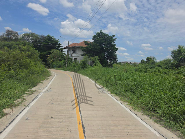 ให้เช่า ที่ดินเปล่า ขนาด 276 ตร.วา ติดถนนคอนกรีต เหมาะกับสร้างที่พักอาศัยหรือโกดัง ใกล้ถนนใหญ่และห้างสรรพสินค้า | 93382 – รูปที่ 2