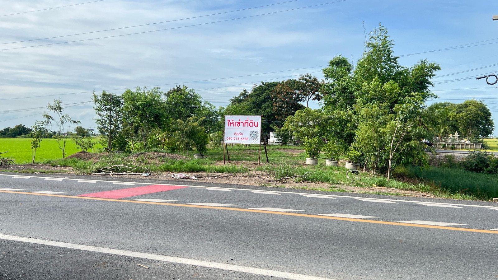 Land for rent, rice field view – รูปที่ 3