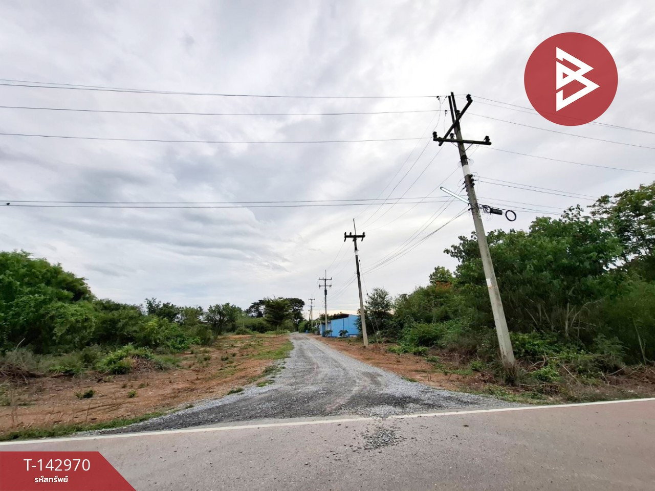 ขายที่ดิน เนื้อที่ 97 ตร.วา กำแพงแสน นครปฐม – รูปที่ 3