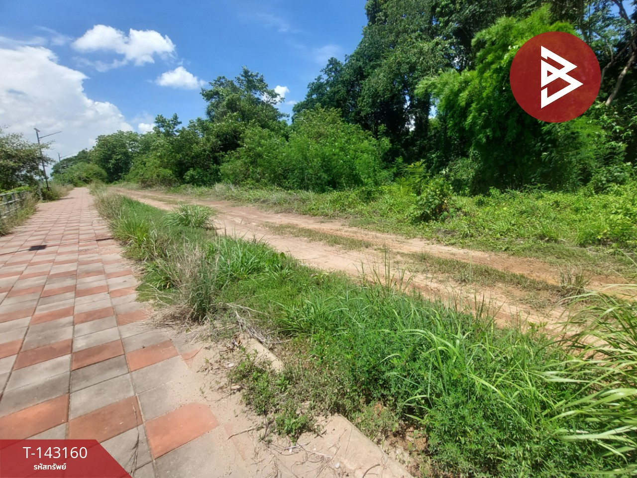 Land for sale next to the Mekong River, area 5 rai 85 sq m, Wat Luang, Phon Phisai, Nong Khai. – รูปที่ 2