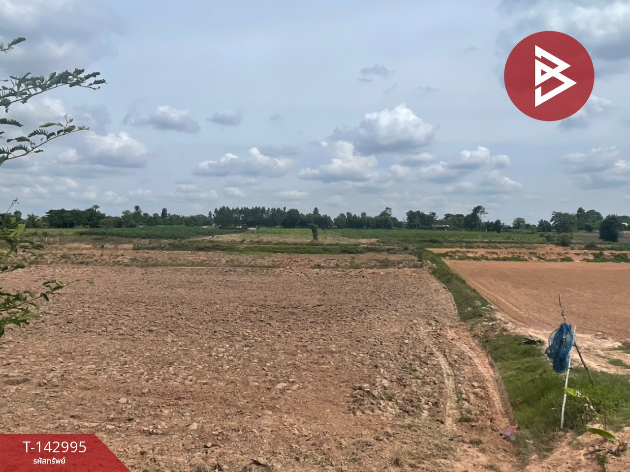 ขายที่ดิน เนื้อที่ 13 ไร่ 1 งาน 78.5 ตร.วา บ้านไผ่ ขอนแก่น – รูปที่ 3