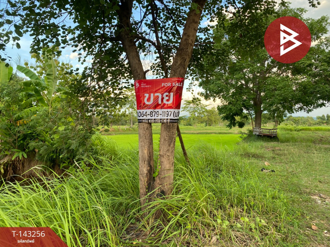 ขายที่ดิน เนื้อที่ 9 ไร่ โนนสัง หนองบัวลำภู ขายที่ดิน เนื้อที่ 9 ไร่ โนนสัง หนองบัวลำภู