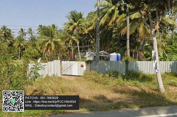 Coconut plantation land for sale with house + 40 foot container free! Near the beach, Bang Saphan, Prachuap Khiri Khan Province.