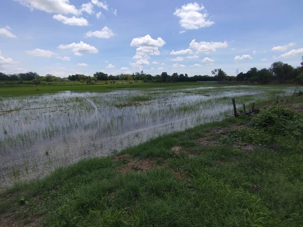 Empty land for sale, Khlong Yong, near Suan Sunnatha Rajabhat University. Nakhon Pathom Campus