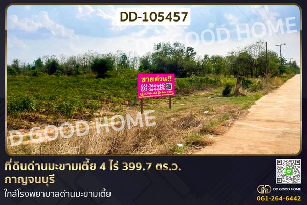 ที่ดินด่านมะขามเตี้ย 4 ไร่ 399.7 ตร.ว. กาญจนบุรี ใกล้โรงพยาบาลด่านมะขามเตี้ย DD-105457