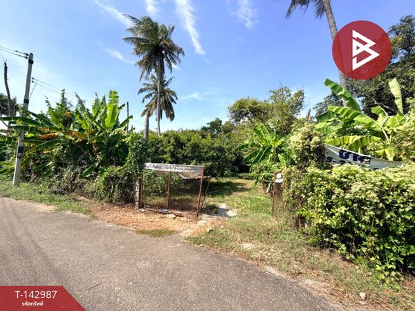Single house with land for sale, area 6 rai 1 ngan 49 sq m, Ban Pong, Ratchaburi.