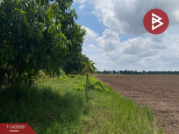 Land for sale, already filled in, area 14 rai 1 ngan 91.0 square wa, Chum Phuang District, Nakhon Ratchasima, has a pond and fruit orchard.