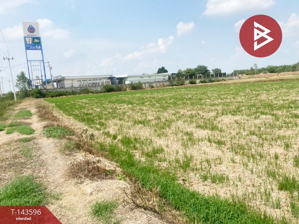 Land for sale, area 13 rai 3 ngan 52.8 sq m, Tha Tako, Nakhon Sawan.