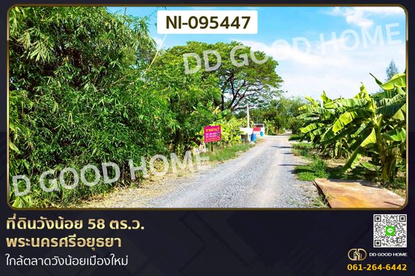 ที่ดินวังน้อย 58 ตร.ว. พระนครศรีอยุธยา ใกล้ตลาดวังน้อยเมืองใหม่ NI-095447