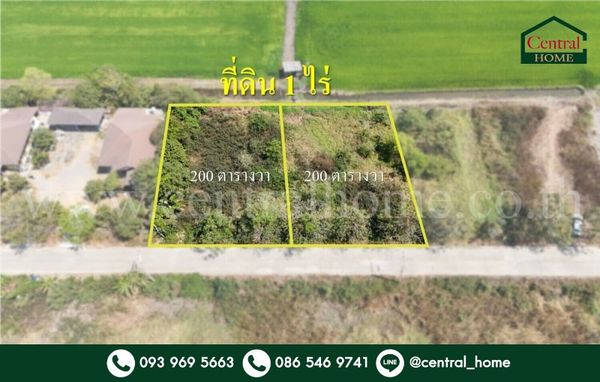 1 rai of land, Wang Noi, Ayutthaya, or sell 2 plots of 200 sq m, very cheap price.