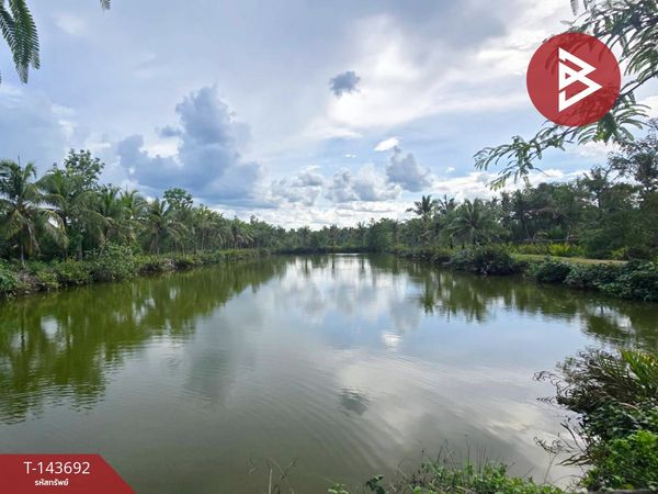 Land for sale, area 14 rai 77 sq m, Tha Yang, Chumphon.