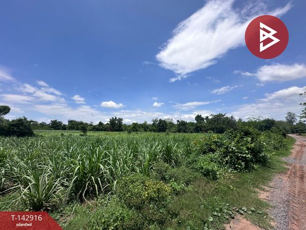 Land for sale, area 8 rai 1 ngan 47 sq m, Nong Ruea, Khon Kaen