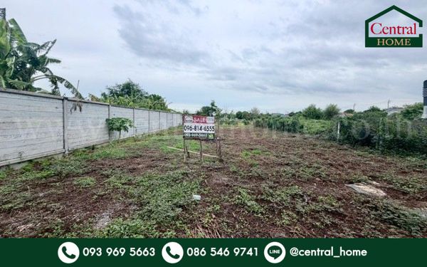 Empty land 110 square meters, Bang Khurat, already filled.