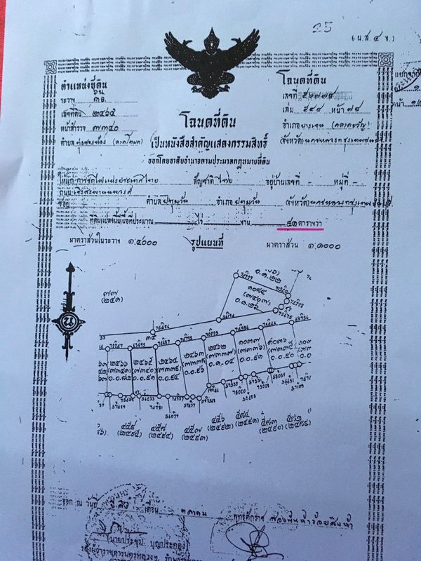 ขายที่ดินถมแล้ว 7 แปลงติดกัน ขนาดรวม 1 ไร่ 3 งาน 19 ตร.ว. ซอยวิภาวดี 25 ย่านทุ่งสองห้อง หลักสี่ ( เจ้าของขายเอง )