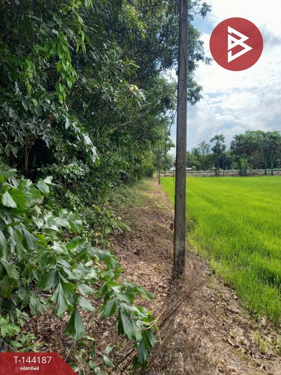 Land for sale, area 3 rai, Dong Lakorn Subdistrict, Nakhon Nayok.