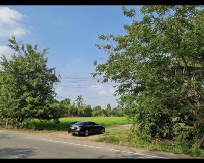 ขายที่ดินเปล่า  หน้ากว้าง หนองสามวัง หนองเสือ ปทุมธานี CX-159446