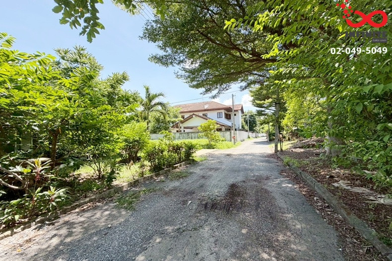 Land for sale 199 sq m., Ramintra 14, Intersection 17 (Mai Lap) - Prasert Manukit 29 with one-story house. big shady trees Near Chalong Rat Expressway