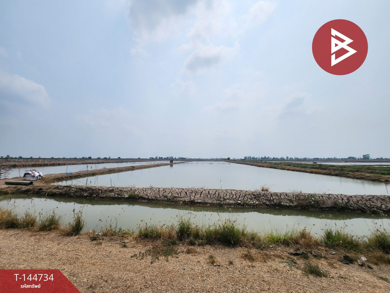 Empty land for sale, area 9 rai 98 sq m, Kamphaeng Saen, Nakhon Pathom. Empty land for sale, area 9 rai 98 sq m, Kamphaeng Saen, Nakhon Pathom.