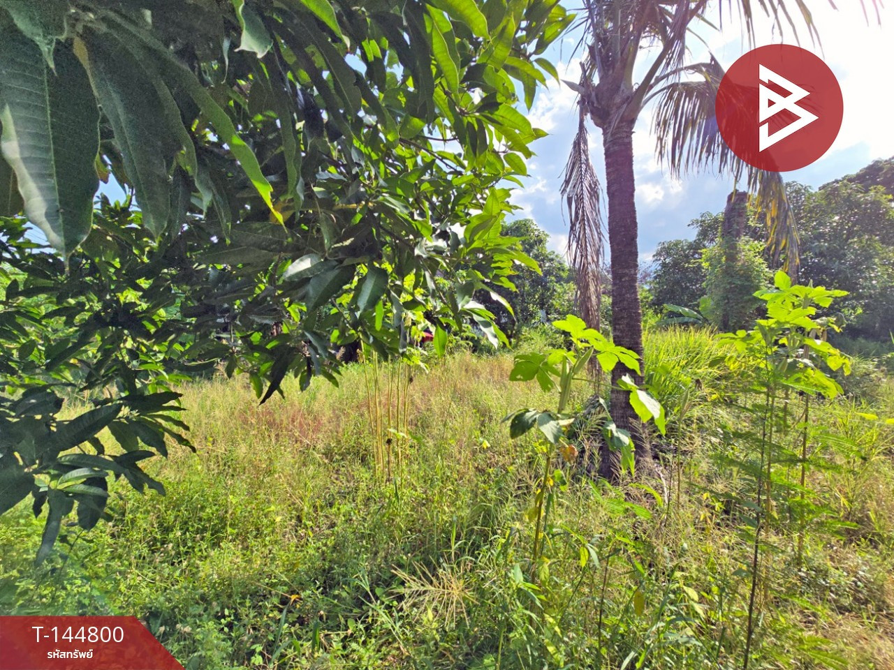 Land for sale, area 1 ngan 20 sq m, Don Tum, Nakhon Pathom. – รูปที่ 3