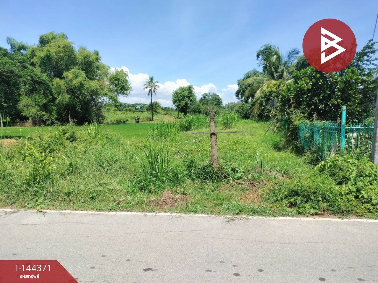 Small plot of land for sale, area 140 sq m, next to Khlong Main, Phrom Phiram District, Phitsanulok. Small plot of land for sale, area 140 sq m, next to Khlong Main, Phrom Phiram District, Phitsanulok.